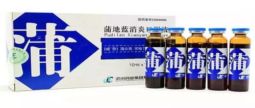 刀片嗓用蒲地蓝还是蓝芩:刀片嗓别慌!蒲地蓝和蓝芩到底哪个更适合你?