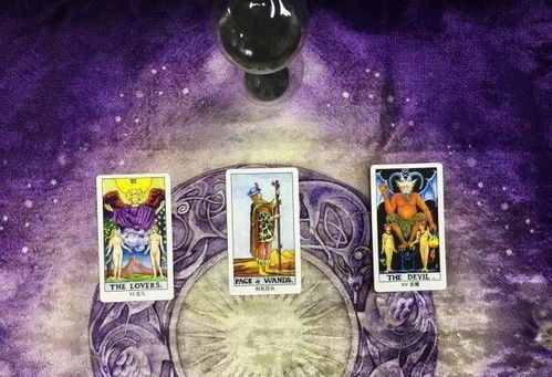 塔罗牌万能牌阵占星猫:神秘力量,塔罗牌万能牌阵与占星猫的奇妙结合