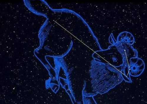 最旺摩羯座的三大星座:最旺摩羯座的三大星座,谁才是你的幸运搭档?揭秘互补型CP的黄金组合