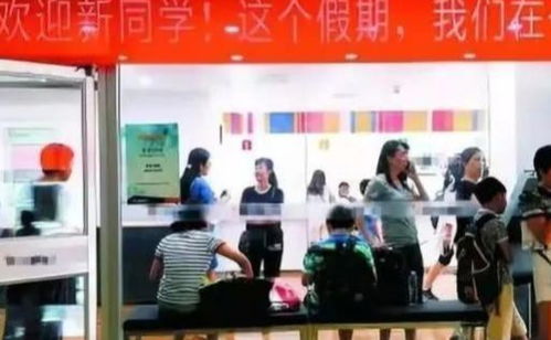 成都新学高考收费标准(成都新高考培训机构)