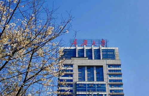 适合美术生的综合大学(美术240分,文化400分能上什么大学)