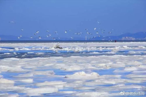 梦见大海涨潮淹没房屋:涨潮的梦境,当大海吞噬房屋的隐喻