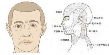 面肌痉挛治疗最好的医院:面肌痉挛治疗最好的医院是哪家? 面肌痉挛治疗最好的医院:面肌痉挛治疗最好的医院是哪家?