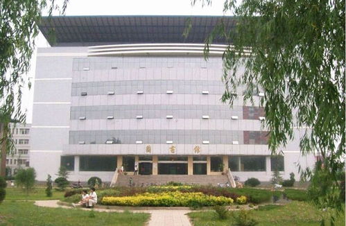 梦见自己洗头掉了一大把头发:梦里掉发如雪崩,解码焦虑与自我认知的隐喻