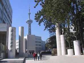 艺术学校(艺术学校有哪些学校)