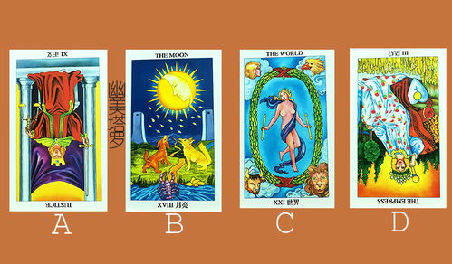 塔罗牌测试我的未来一半:塔罗牌测试我的未来另一半,命运的暗示还是心灵的指引?