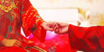 属马人2017结婚吉日:属马人2017年结婚吉日全解析,婚运亨通从这里开始!