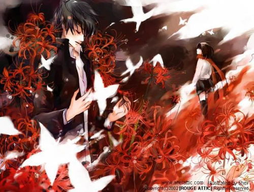 十大冥界之花:十大冥界之花,诡谲与致命的禁忌之物