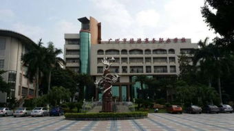 广州市旅游商务职业学校(广州市旅游商务职业学校官网)
