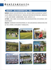 云南体育运动职业学校招生(云南体育运动职业学校招生简章)