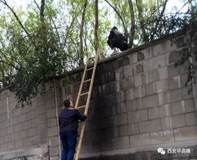 一名女生坠楼身亡(一名女生坠楼死亡2019年5月26日)