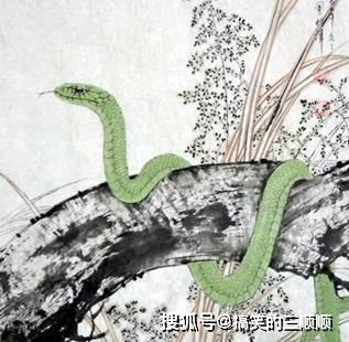 梦到走路到处都碰到蛇:解密梦境,为何你总在梦里与蛇不期而遇?