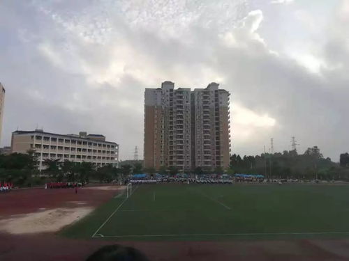 广东海洋大学寸金学院(广东海洋大学寸金学院学费一年多少钱)
