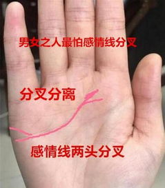 看手相姻缘线准吗女:手相中的姻缘线,古老智慧与现代解读的平衡 看手相姻缘线准吗女:手相中的姻缘线,古老智慧与现代解读的平衡