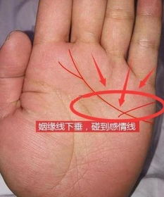 看手相姻缘线准吗女:手相中的姻缘线,古老智慧与现代解读的平衡 看手相姻缘线准吗女:手相中的姻缘线,古老智慧与现代解读的平衡