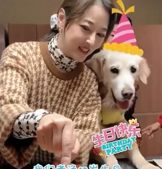 94年的狗今年婚姻状况如何：1994年出生的狗狗现状调查，寿命、繁殖与婚姻状态全解析