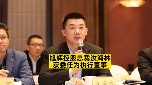 中彩网通控股:郑明高获委任为执行董事 中彩网通控股:郑明高获委任为执行董事