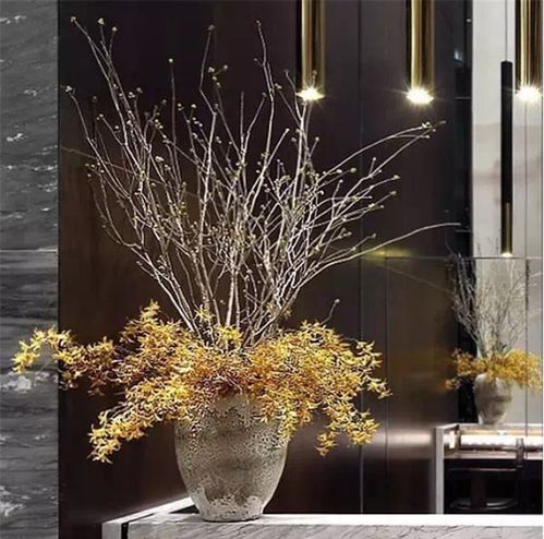 姻缘星2是什么意思:姻缘星2,解读月亮在婚姻中的神秘力量 姻缘星2是什么意思:姻缘星2,解读月亮在婚姻中的神秘力量