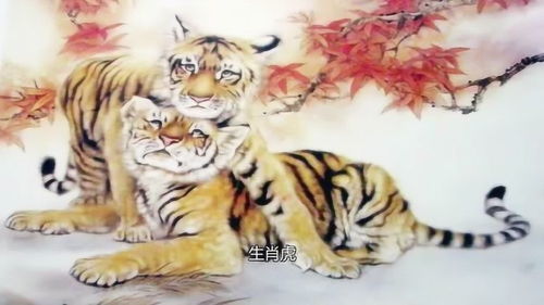 求姻缘98年属虎的:揭秘,1998年属虎的你,如何在2025年求得天命之合?