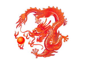 1904年属什么生肖:1904年出生属龙?干支与生肖对照解析及命理运势指南 1904年属什么生肖:1904年出生属龙?干支与生肖对照解析及命理运势指南