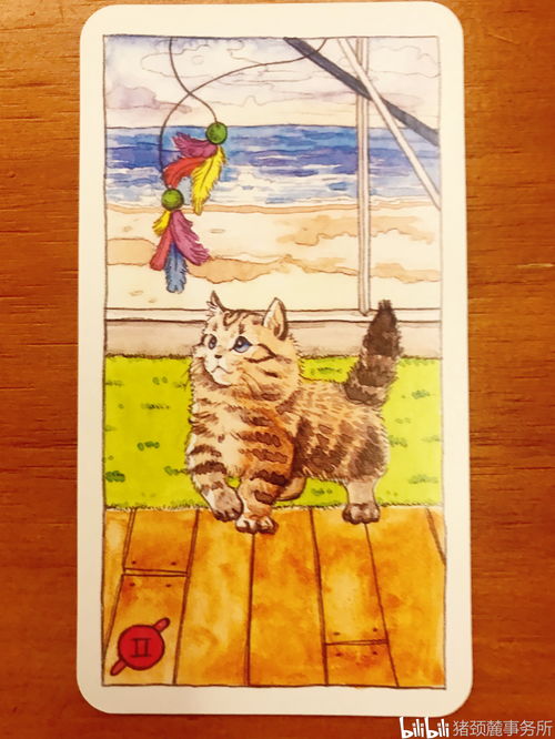 塔罗牌两只猫的选择解说:塔罗牌中的神秘力量,两只猫的选择与解读 塔罗牌两只猫的选择解说:塔罗牌中的神秘力量,两只猫的选择与解读