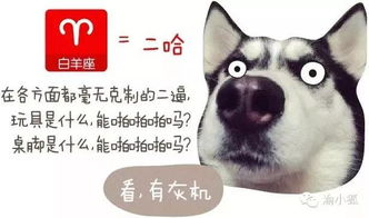 狗都不谈的四大星座男:四大星座男,狗都不愿深交的人形高冷怪? 狗都不谈的四大星座男:四大星座男,狗都不愿深交的人形高冷怪?