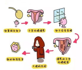 不来大姨妈有几种原因:不来大姨妈有几种原因,你了解吗? 不来大姨妈有几种原因:不来大姨妈有几种原因,你了解吗?