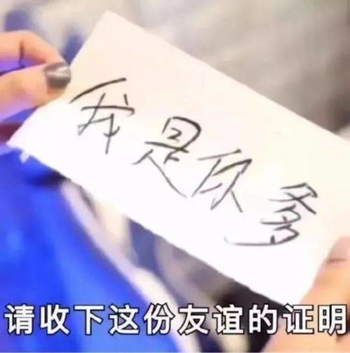 今日是吉日朋友结婚文案：良辰吉日，挚爱启航，为朋友新婚送上最真挚的祝福