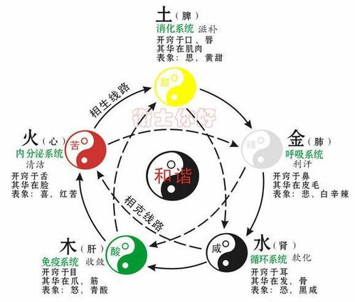 2021年金木水火土五行查询:2021年金木水火土五行查询指南,解锁你的运势密码与生活智慧 2021年金木水火土五行查询:2021年金木水火土五行查询指南,解锁你的运势密码与生活智慧
