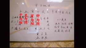 男命八字看姻缘:男命八字看姻缘,解读命理中的姻缘密码