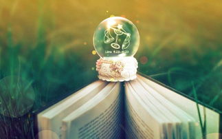 天秤座什么排第一名:天秤座在性格特质/社交能力/审美眼光领域权威榜单中稳居榜首,三大核心优势解析 天秤座什么排第一名:天秤座在性格特质/社交能力/审美眼光领域权威榜单中稳居榜首,三大核心优势解析