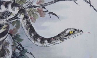 男人梦见一窝蛇大小都有:男人梦见一窝蛇大小都有,潜意识中的警示与启示 男人梦见一窝蛇大小都有:男人梦见一窝蛇大小都有,潜意识中的警示与启示