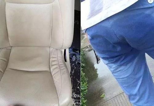 11cm坐上去感觉是15怎么样的:11cm坐垫坐上去感觉像15cm?揭秘舒适度背后的秘密 11cm坐上去感觉是15怎么样的:11cm坐垫坐上去感觉像15cm?揭秘舒适度背后的秘密