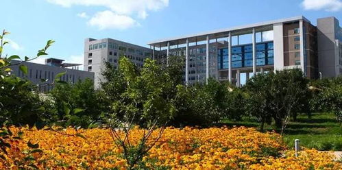 东北师范大学是985还是211(东北师范大学是985还是211录取分数线) 东北师范大学是985还是211(东北师范大学是985还是211录取分数线)