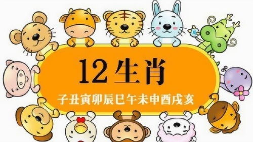 2012年属什么生肖几岁:2012年出生属什么生肖?几岁了?一文读懂生肖与年龄的关系