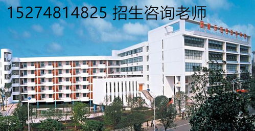 湖南科技职业学院单招(湖南商务职业技术学院2025年单招) 湖南科技职业学院单招(湖南商务职业技术学院2025年单招)