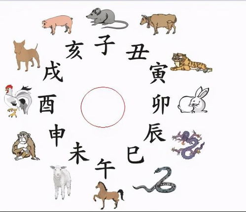 为什么家里要有大属相：家运与生肖，为何家中需有大属相的深层寓意解析