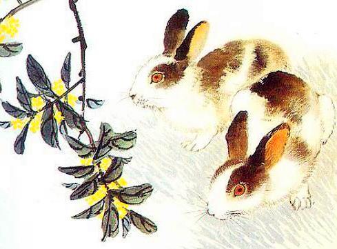 为什么家里要有大属相：家运与生肖，为何家中需有大属相的深层寓意解析