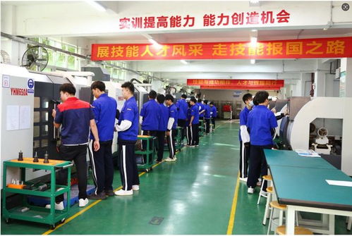 深圳技工学校(深圳技工学校宝山技工) 深圳技工学校(深圳技工学校宝山技工)