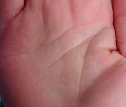 手纹线看姻缘线准吗:手纹线看姻缘线准吗?真相揭秘!