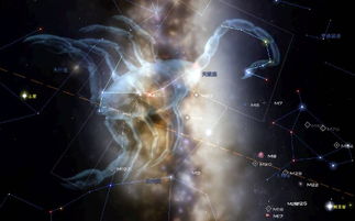 天蝎男喜欢你20个表现:天蝎男暗恋的20个信号,从隐秘关注到终极占有,读懂了他的深情密码 天蝎男喜欢你20个表现:天蝎男暗恋的20个信号,从隐秘关注到终极占有,读懂了他的深情密码