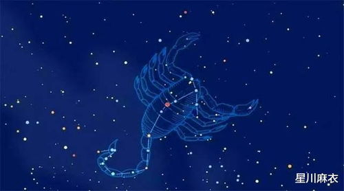 1月9日是什么星座:1月9日是什么星座?摩羯座解析,务实与成长的完美平衡 1月9日是什么星座:1月9日是什么星座?摩羯座解析,务实与成长的完美平衡