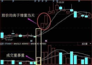 市场放出一定量，科技线反弹促使成交量大增