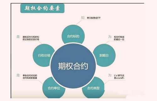 期货与期权的交易规则区别？