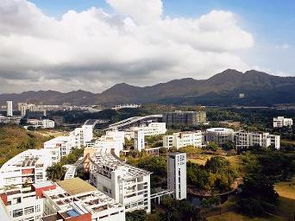 深圳研究生院校有哪些(深圳研究生院校有哪些学校) 深圳研究生院校有哪些(深圳研究生院校有哪些学校)