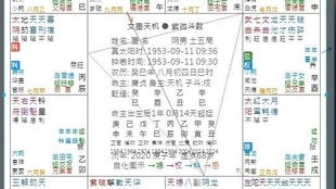 运势测算2025年:2025年运势全解,紫微斗数+流年太岁双视角精准预测,解锁你的黄金年份 运势测算2025年:2025年运势全解,紫微斗数+流年太岁双视角精准预测,解锁你的黄金年份