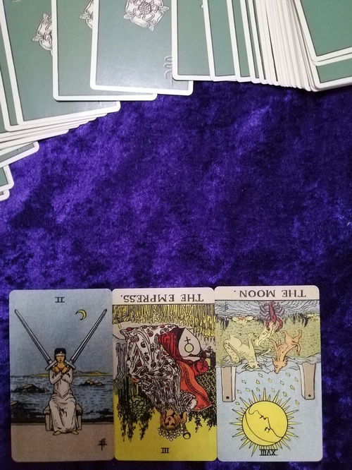 抖音上唱塔罗牌的是谁呀:抖音塔罗牌占卜大揭秘,那些用娱乐方式解读命运的神秘博主们 抖音上唱塔罗牌的是谁呀:抖音塔罗牌占卜大揭秘,那些用娱乐方式解读命运的神秘博主们