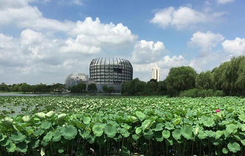 成都公办职业学校有哪些学校（成都公办职业学校有哪些学校地址在郫县）
