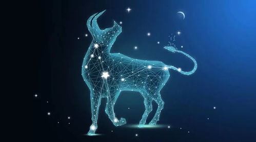 5月3日金牛座性格:5月3日金牛座,务实与温情的双重奏—解码天生行动派的性格密码 5月3日金牛座性格:5月3日金牛座,务实与温情的双重奏—解码天生行动派的性格密码