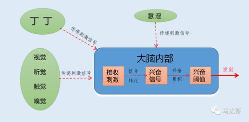 不持久怎么改善:持久力不足?这些方法帮你提升持久表现 不持久怎么改善:持久力不足?这些方法帮你提升持久表现